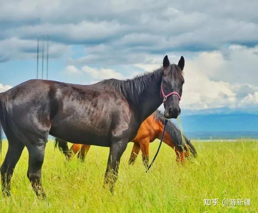 西南部邊陲的