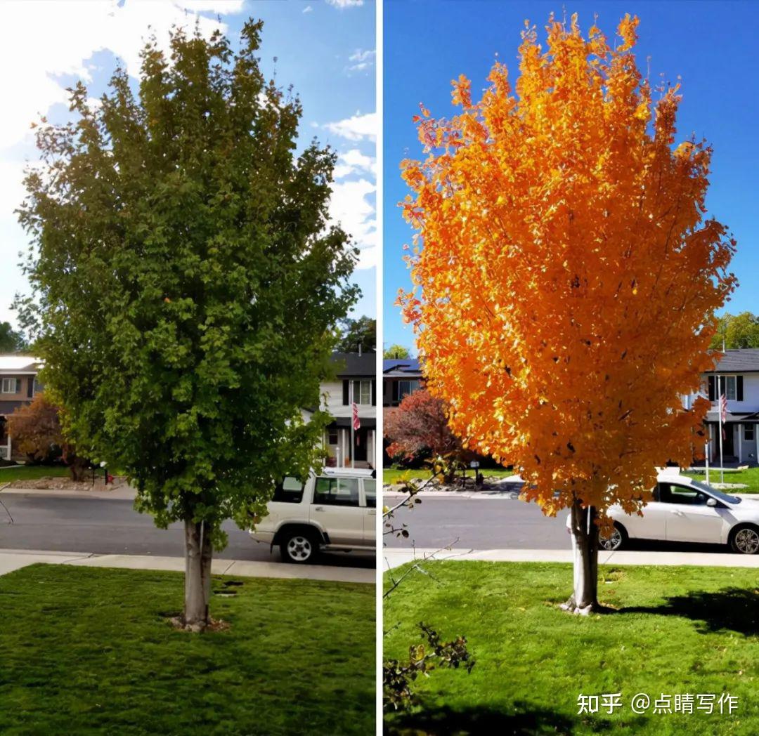 33张不可思议的前后对比图差距原来是比出来的