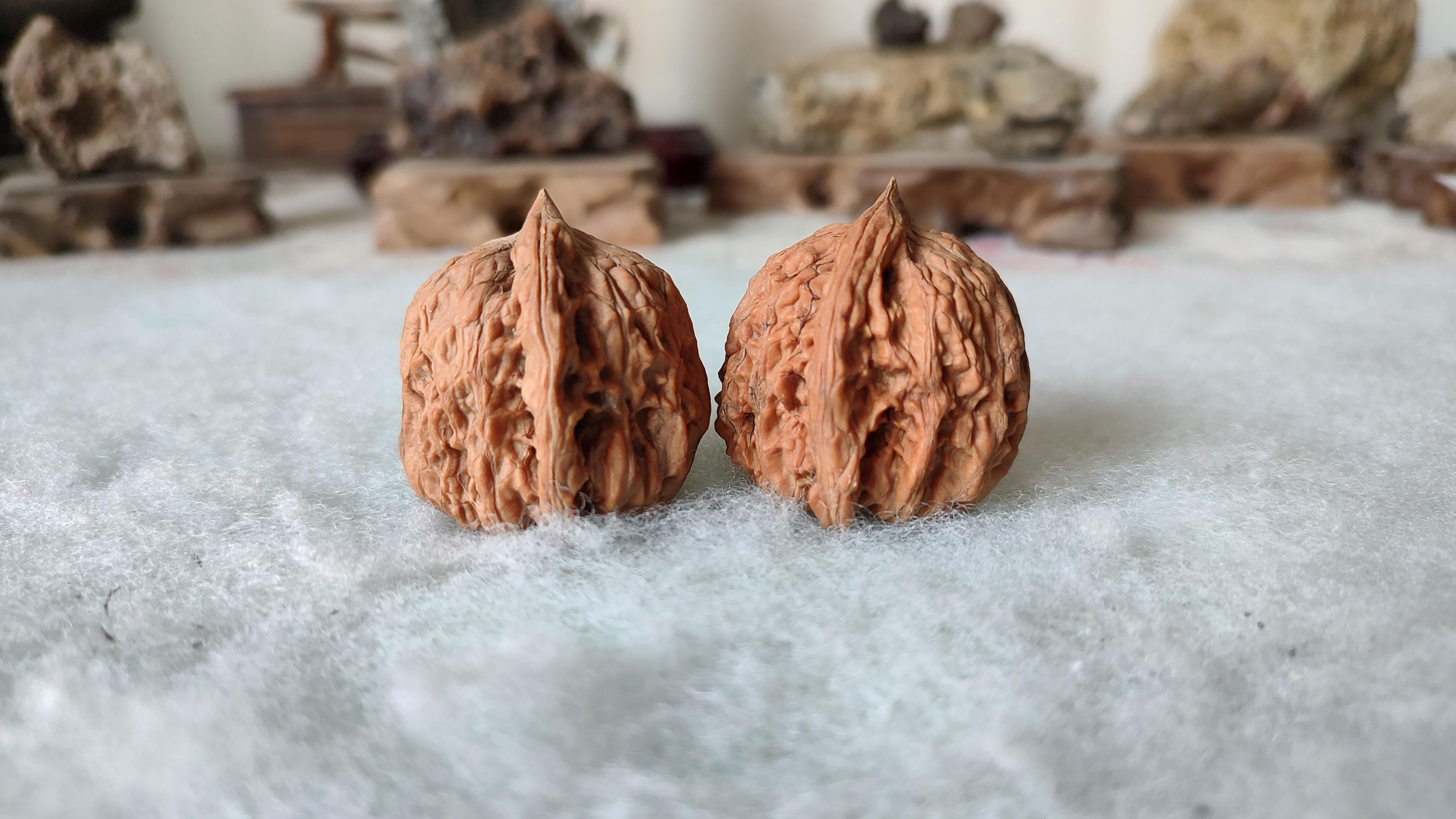 我并不知道这款核桃的名字,发到网上也没有网友告诉我这款核桃的品种