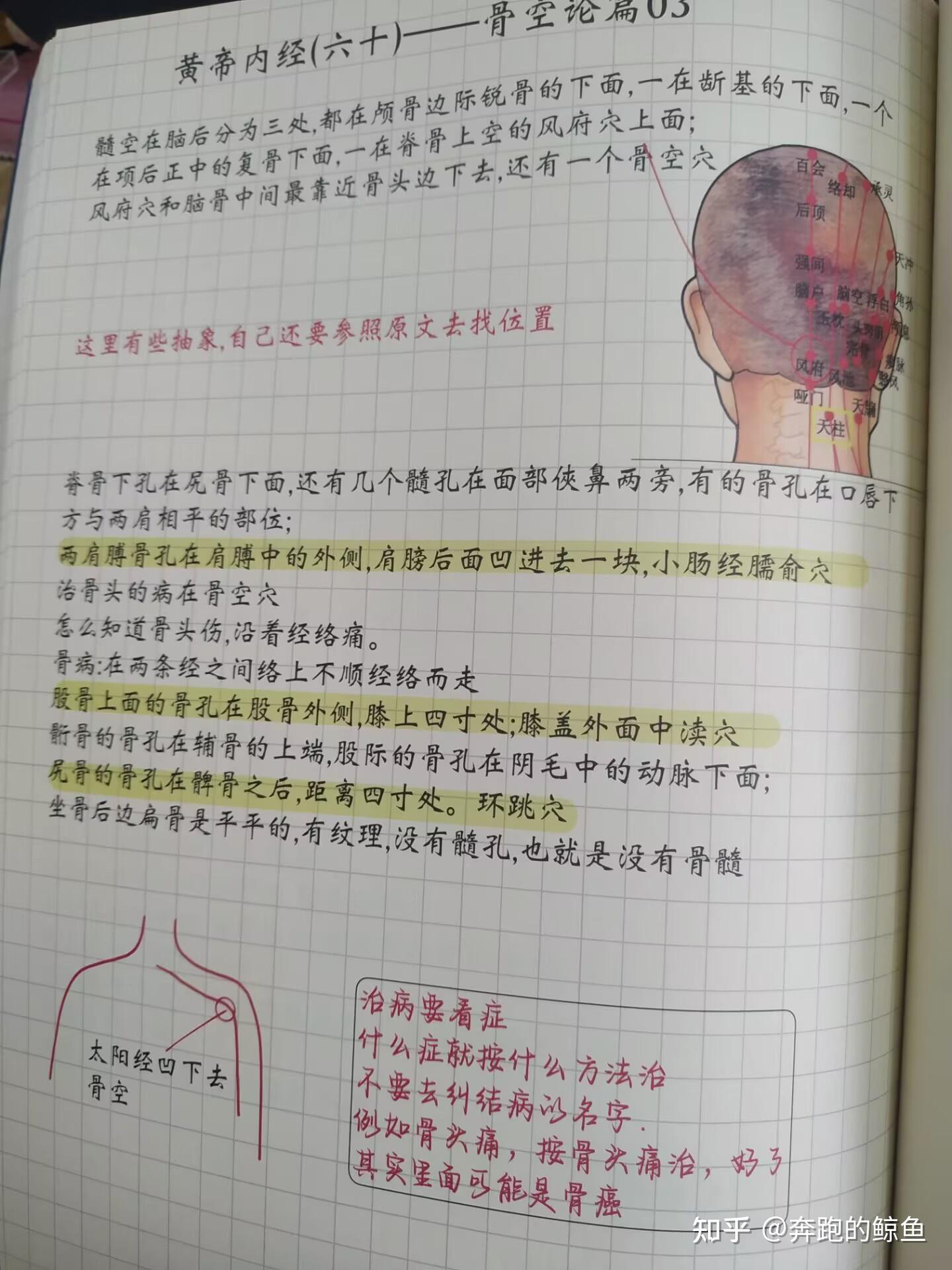 祝余中医日记2024正版笔记书籍 - 知乎