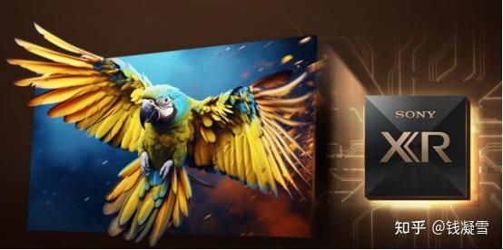 一,索尼85英寸电视怎么选?