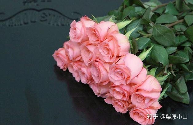 蔷薇和月季哪个容易活 v2-8e4c4f1508d6882f0015fb955277422d_r.jpg