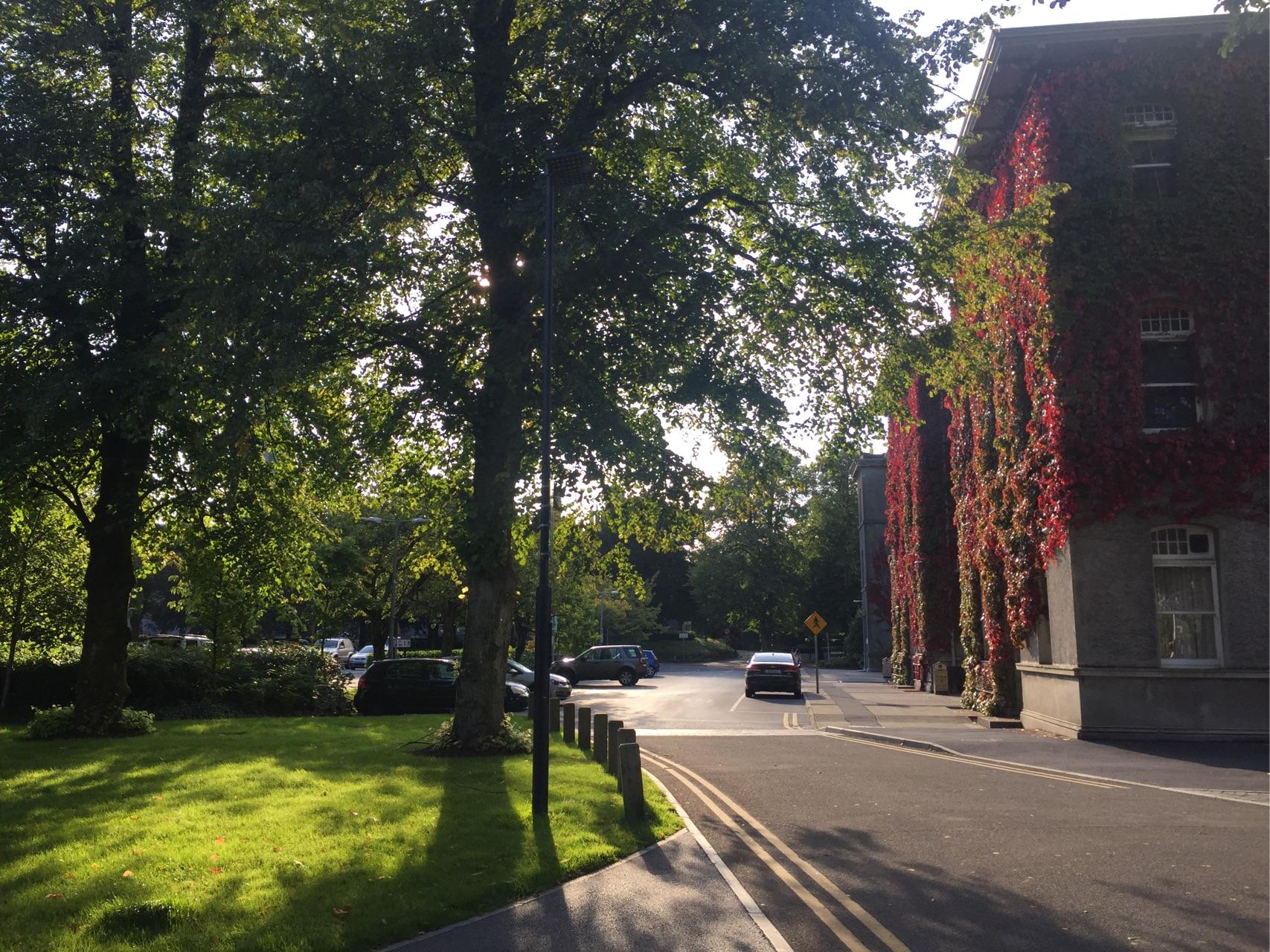 爱尔兰留学对比英国怎样?