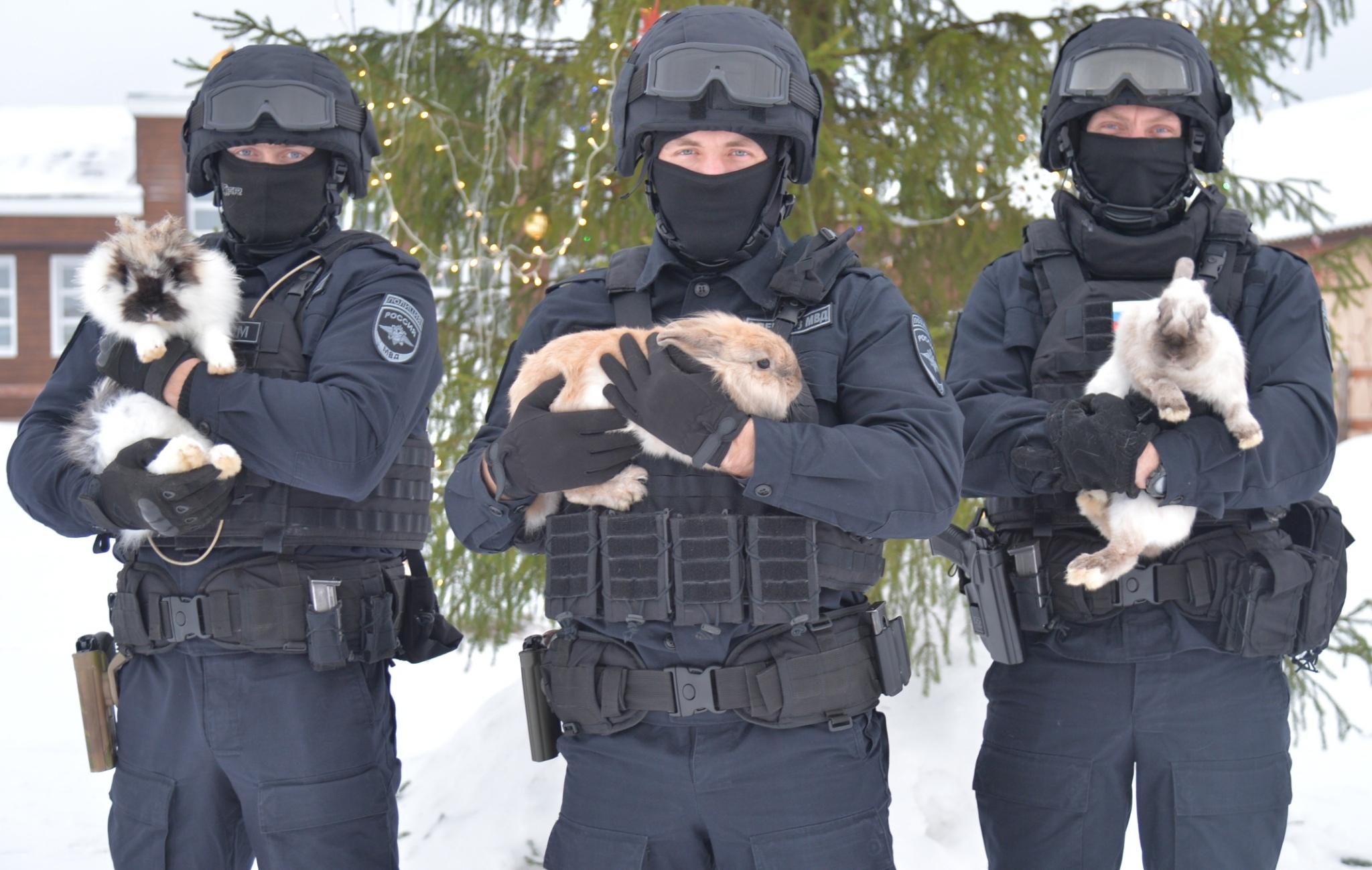 М特警分队抱着兔子祝大家2023新年快乐:貌似俄罗斯也有12生肖的说法