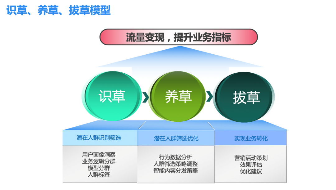 精准营销融合内容运营,形成营销模型:识草,养草,拔草模型