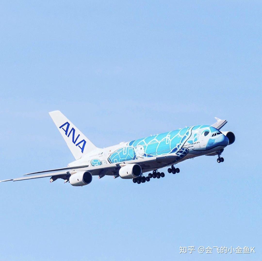 忍者神龜全日空三架a380