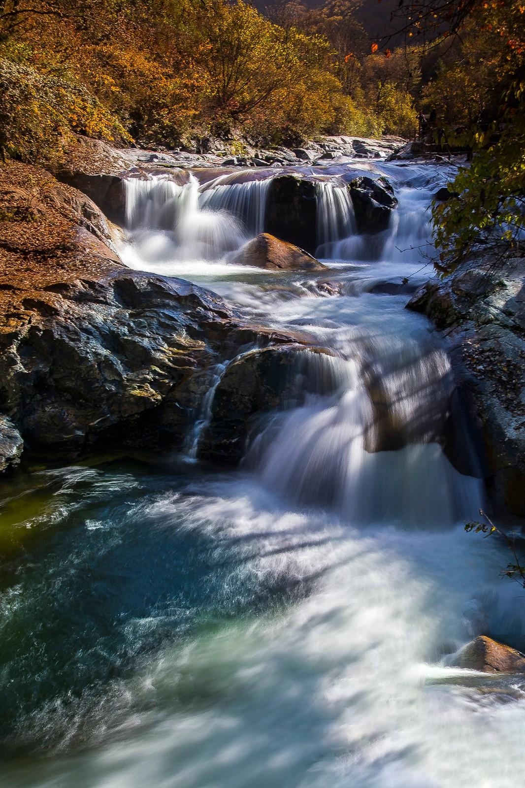 光雾山赏秋最全指南!带你领略“中国红叶第一山”的红叶盛宴