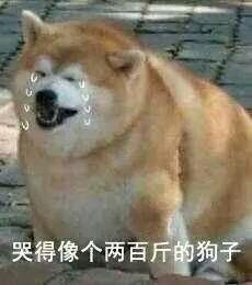 怎么看待现在内涵段子用户瞧不起快手瞧不起抖