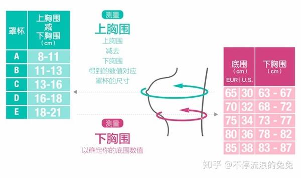 運動內衣怎麼選 | 運動內衣推薦