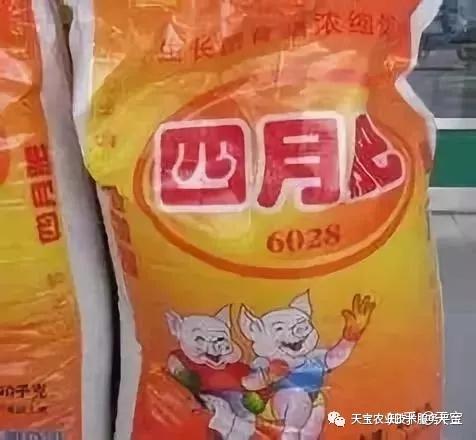 我想很多老人大概都会记得,当年有一条猪饲料的广告特别响亮,每天在