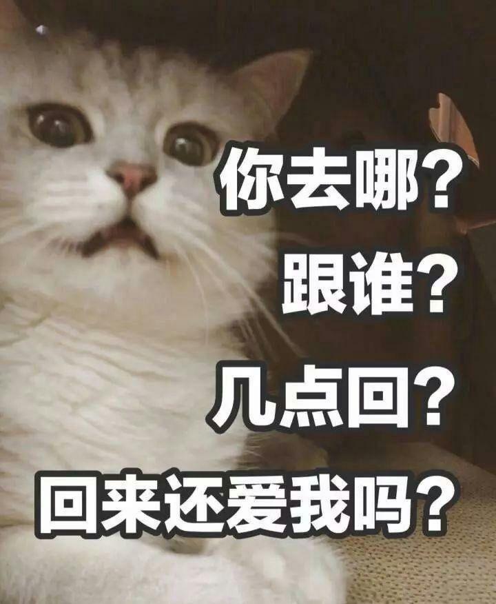 今日份的悉心敷衍完毕,你的大宝贝要准备吃焖面啦～呜呜呜,长智