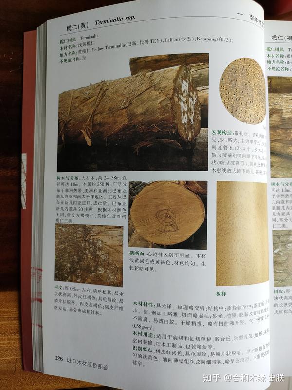 常见胡桃联盟木材种类 十五种胡桃木详细介绍 知乎