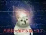 常用表情微信头像_常用微信表情_微信常用表情