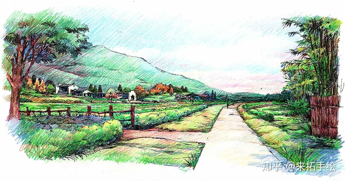 来拓手绘·景观设计方案彩铅上色colored pencil landscape design