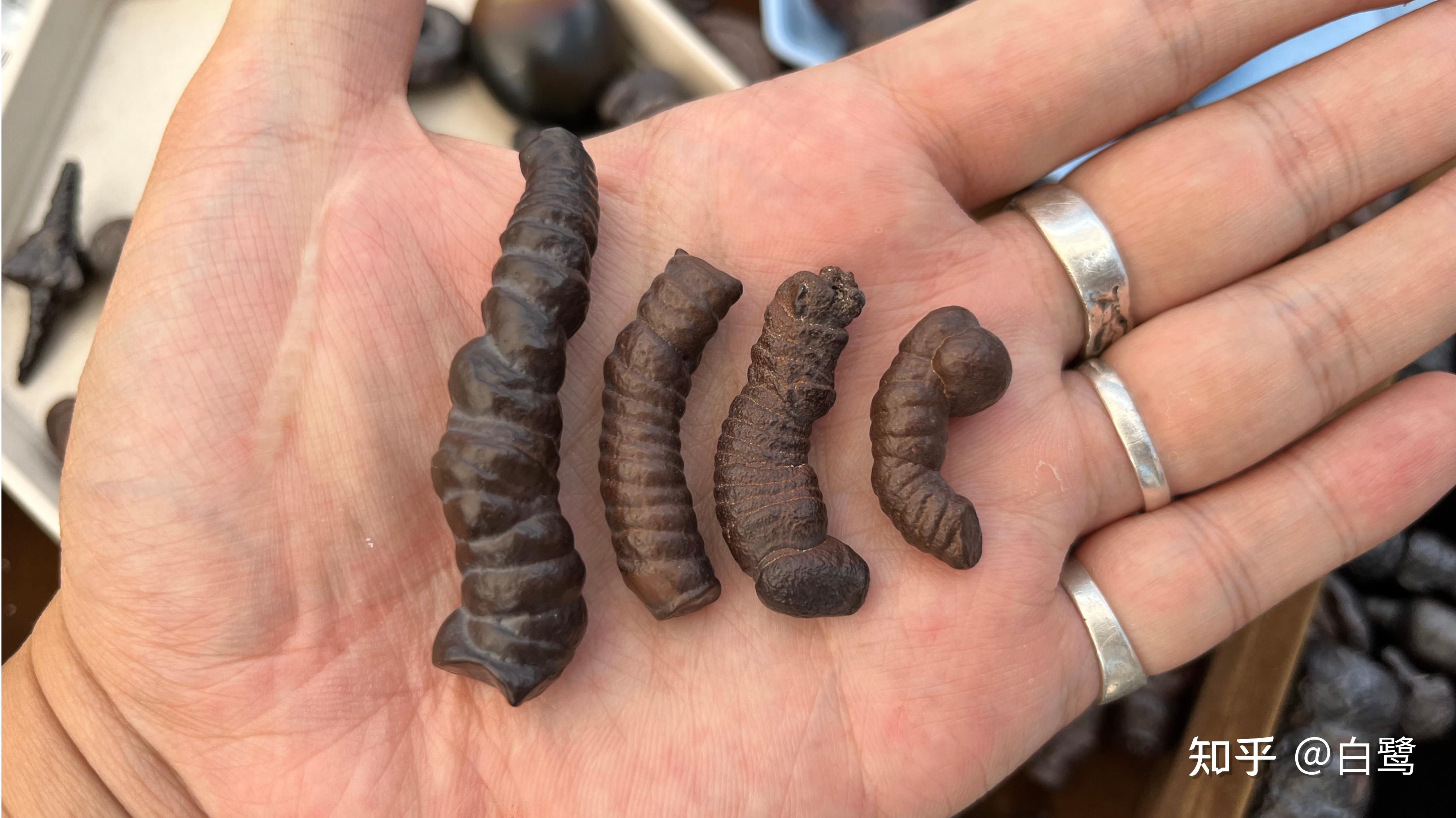 埃及褐铁矿及其他