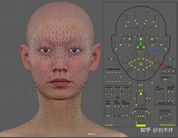 MetaHuman开发（maya）自定义脸部模型 - 知乎