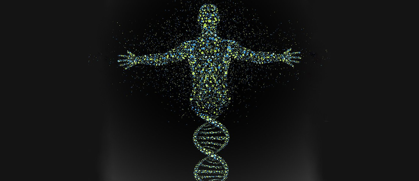 从基因进化角度揭秘:人类为什么会衰老?为什么无法永生?