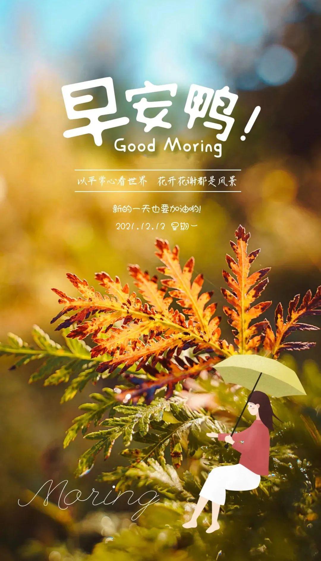 12月13日早安心语正能量最新正能量句子 最新早上好正能量祝福语图片