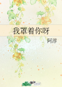 图标