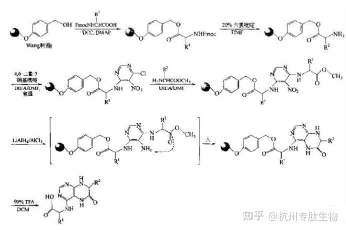 一般用等摩爾量的保護氨基酸及4倍量的diea與trt樹脂混在二氯甲烷中