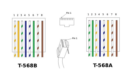 网线标识知识点