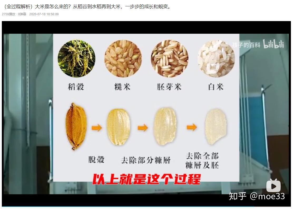 好玩的米制品①:稻与大米 - 知乎