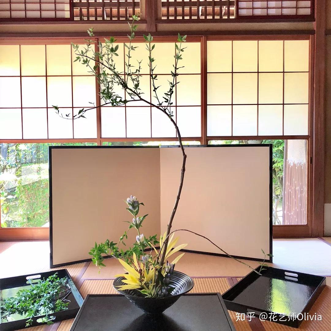 透过《高岭之花》,看日本花道文化 - 知乎