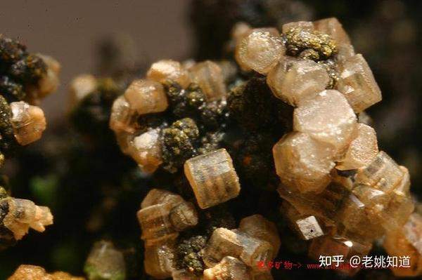 33 砷元素及其常用检测方法 - 知乎