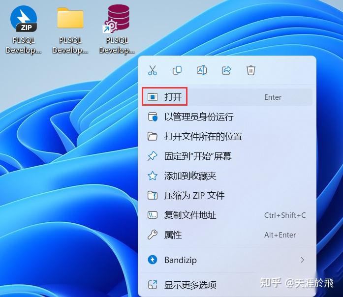 PLSQL Developer 14软件包下载附安装教程 - 知乎