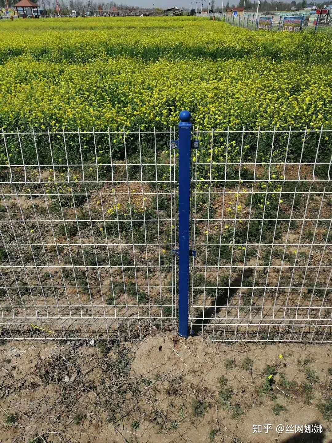 农业试验基地围网 基本农田保护围栏 生态园种植园护栏网 - 知乎
