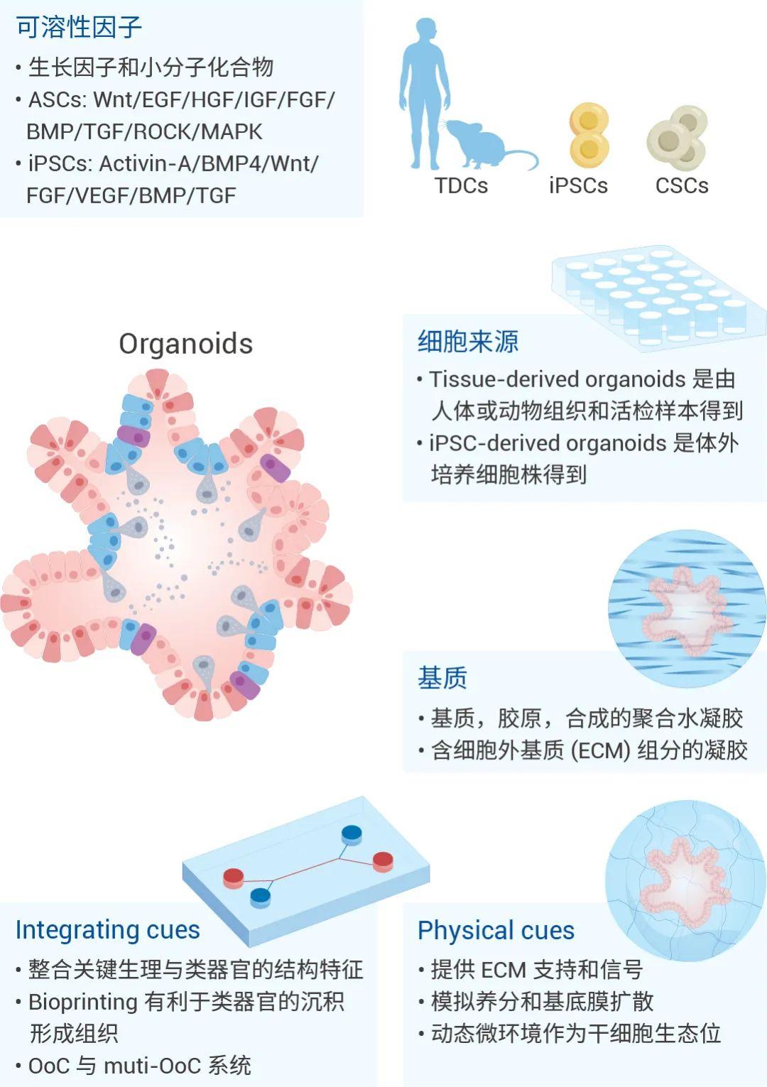 类器官专题 | 实验常见问题答疑-MedChemExpress - 知乎