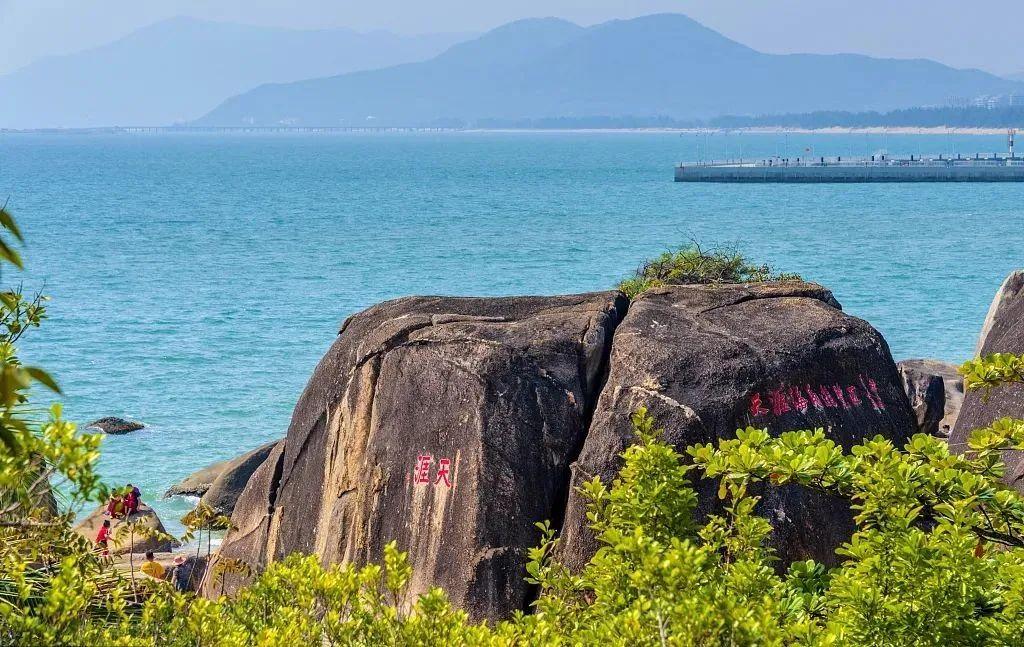 【悦乐程】这个热带宝地,少不了椰子树 - 知乎