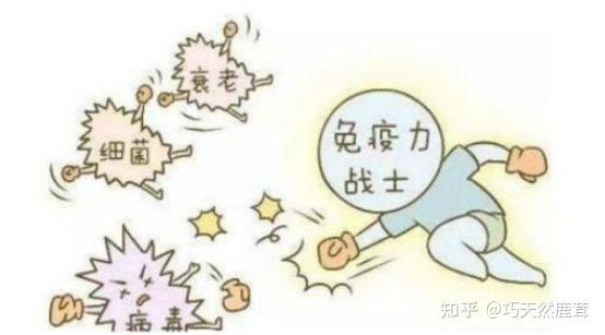 免疫力下降的3个信号!要注意! - 知乎