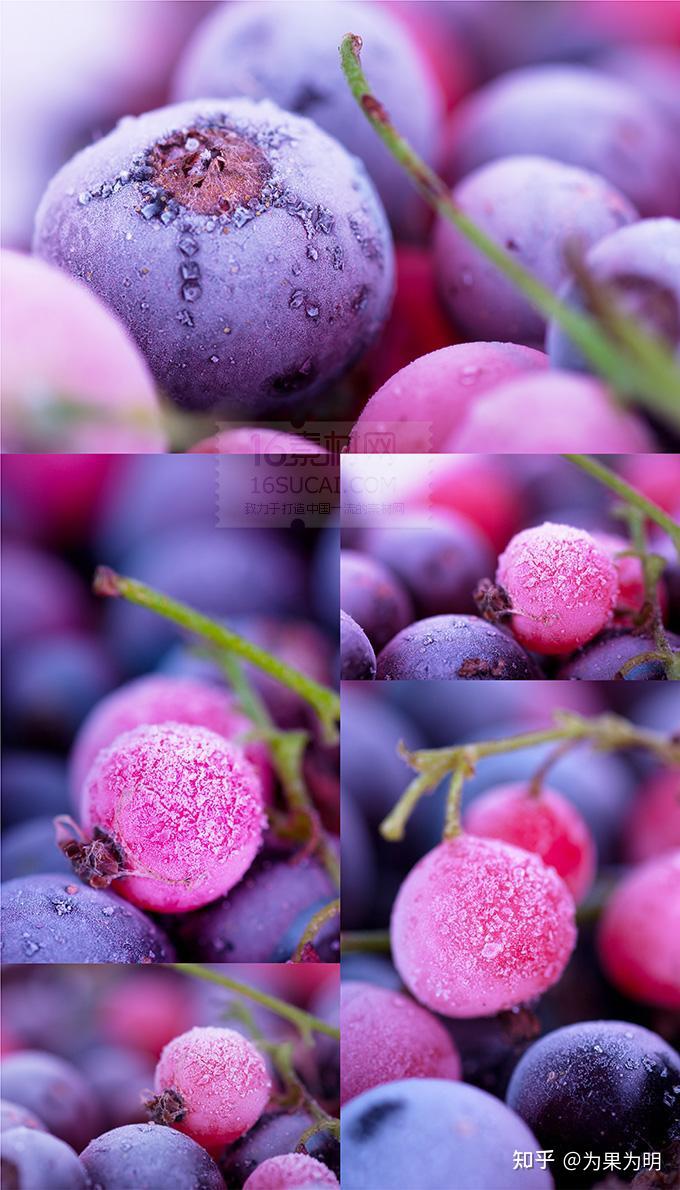 紫色的水果有哪些