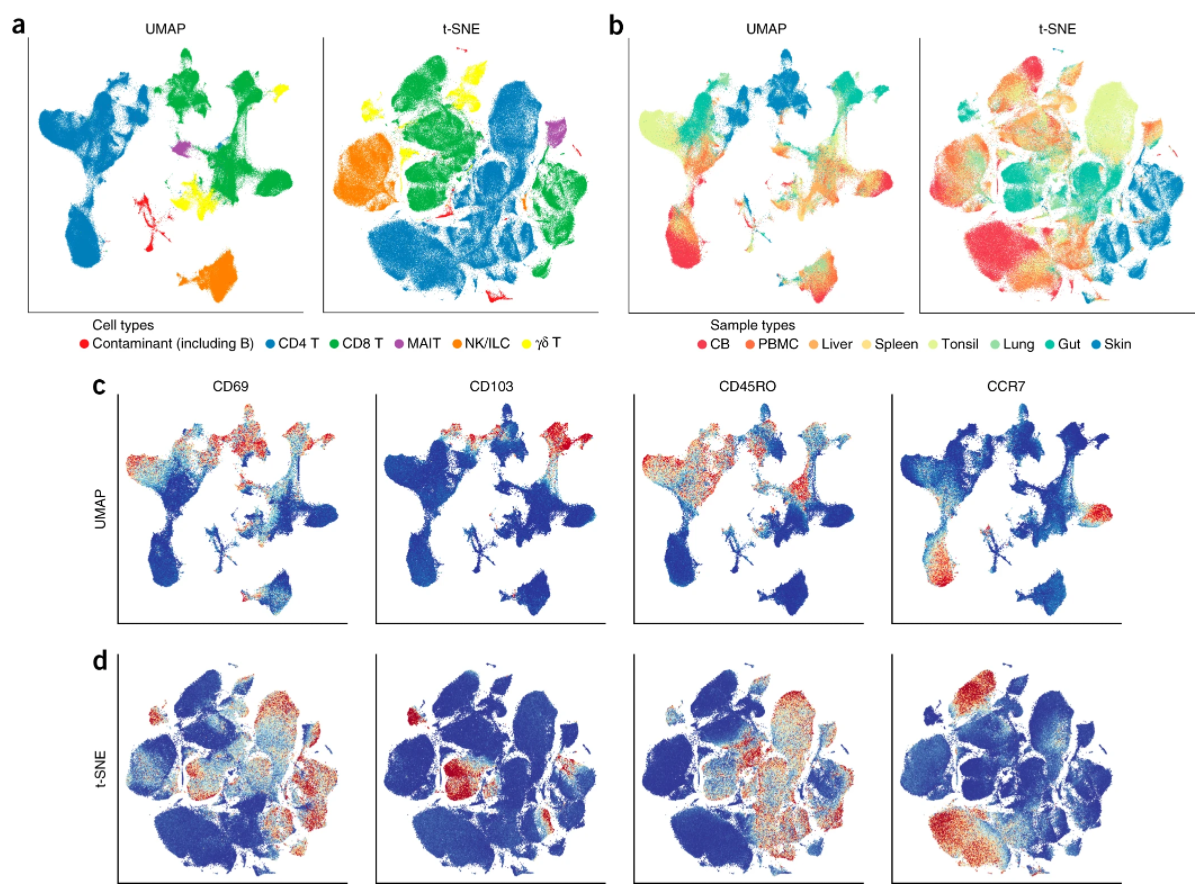 【豪克博士聊科研】教你单细胞测序(十三)分析流程(6) - 知乎