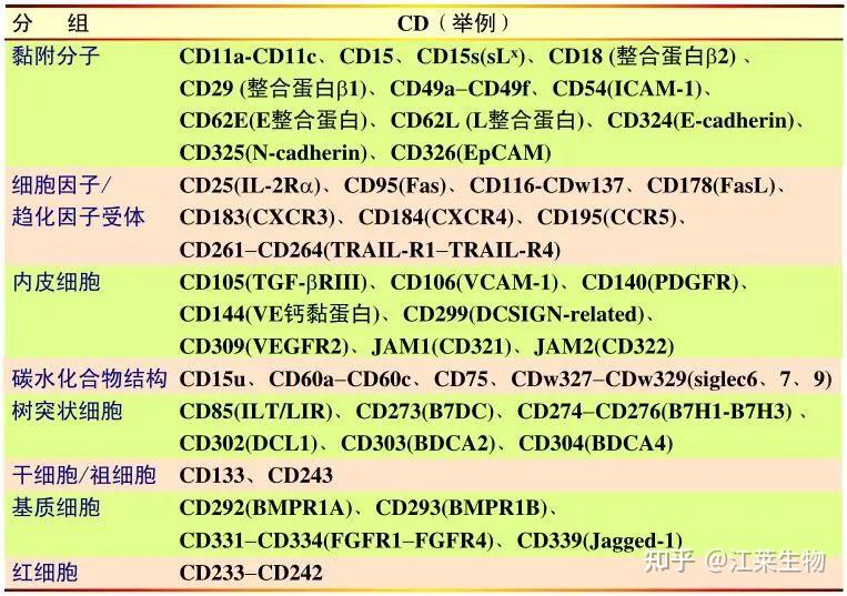 收藏！最全人CD分子百科！ - 知乎