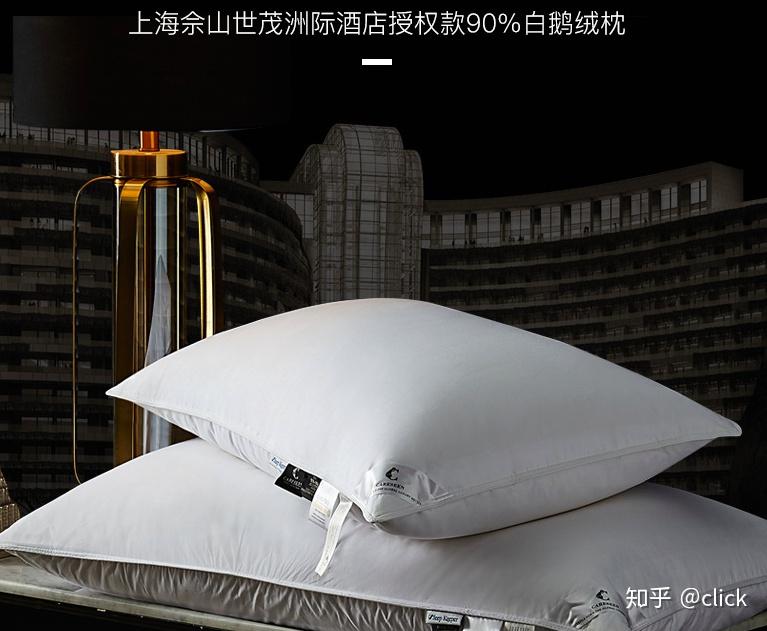 哪里买酒店同款枕头 v2-8f834d45338baa67aad85283a15c1b71_r.jpg