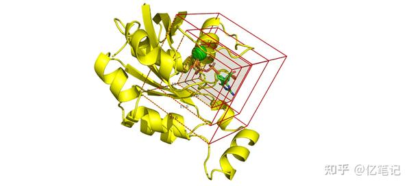Pymol脚本|分子对接盒子可视化 - 知乎