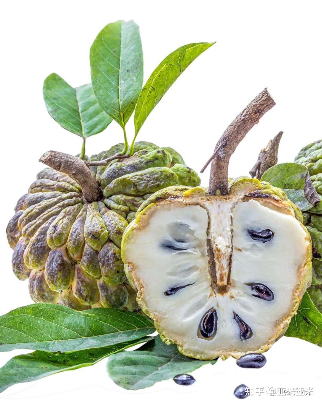 我在肯尼亚吃过的奇奇怪怪的水果们