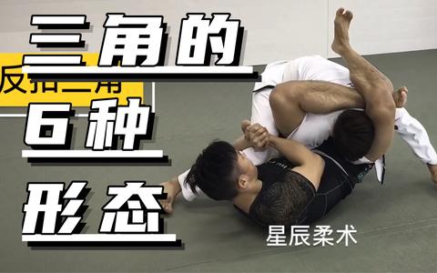 巴西柔术中有多少降服技术? - 知乎