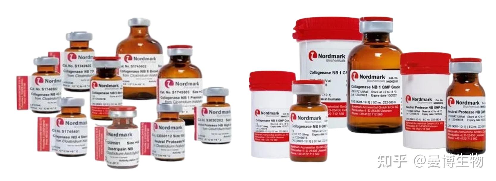 探寻小分子创新风口曼博生物与您相约innoxbio2024