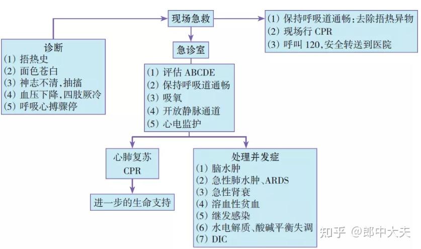 v2-8fd8430acc57fc40c73c26d282d47a6d_r.jpg