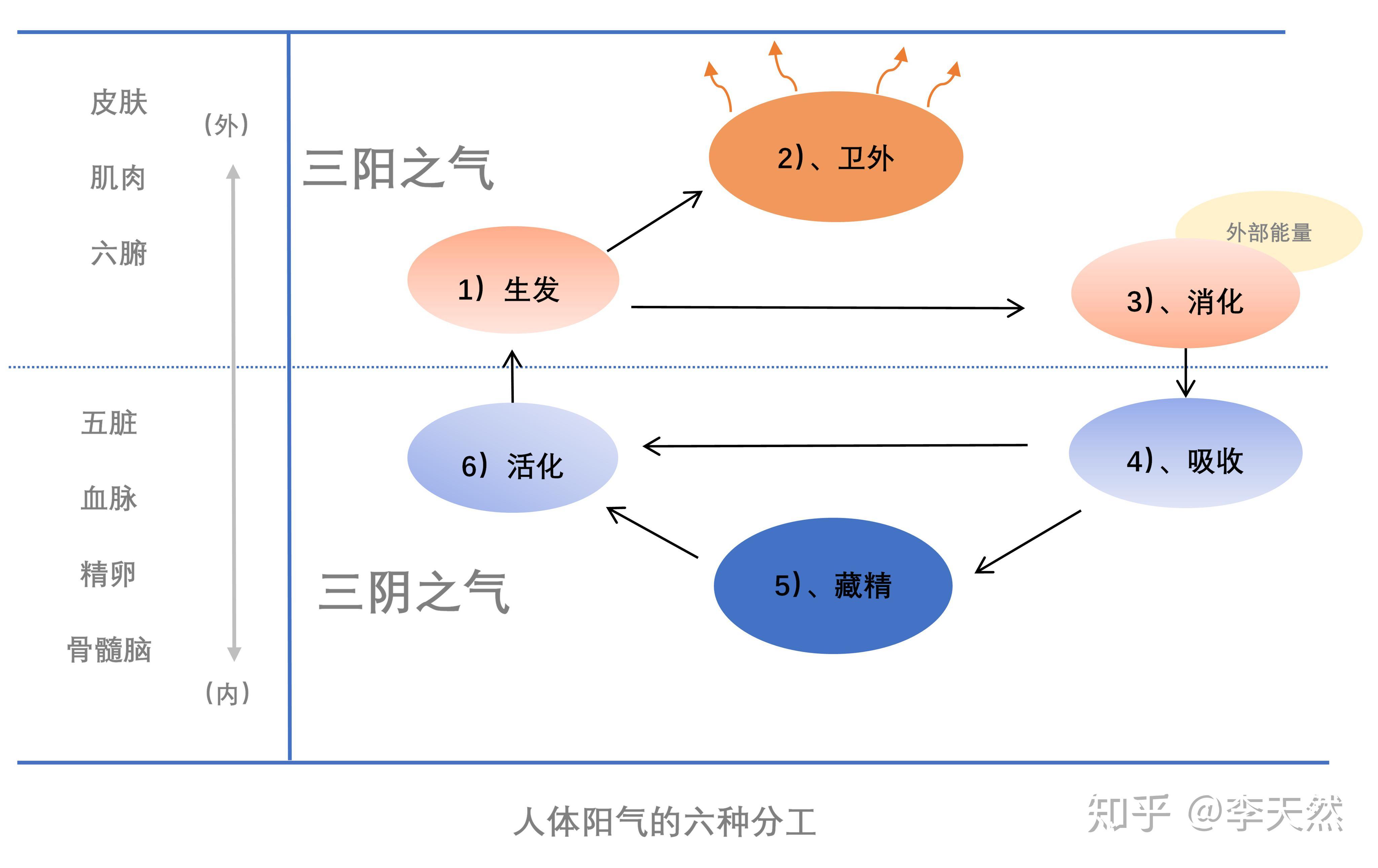 阴阳小论3人体能量转化的六气模型