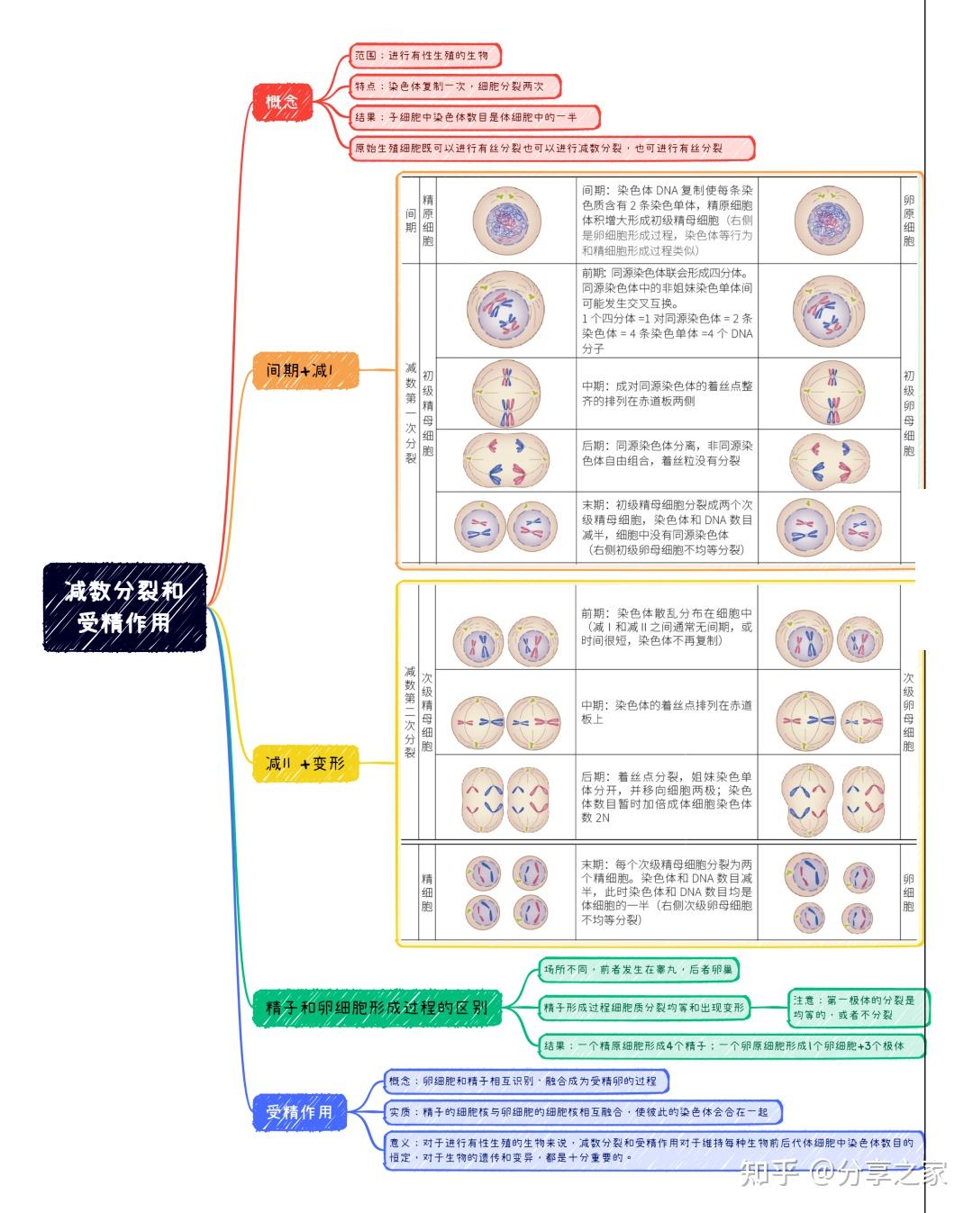 高中生物必修二遗传
  第1张
