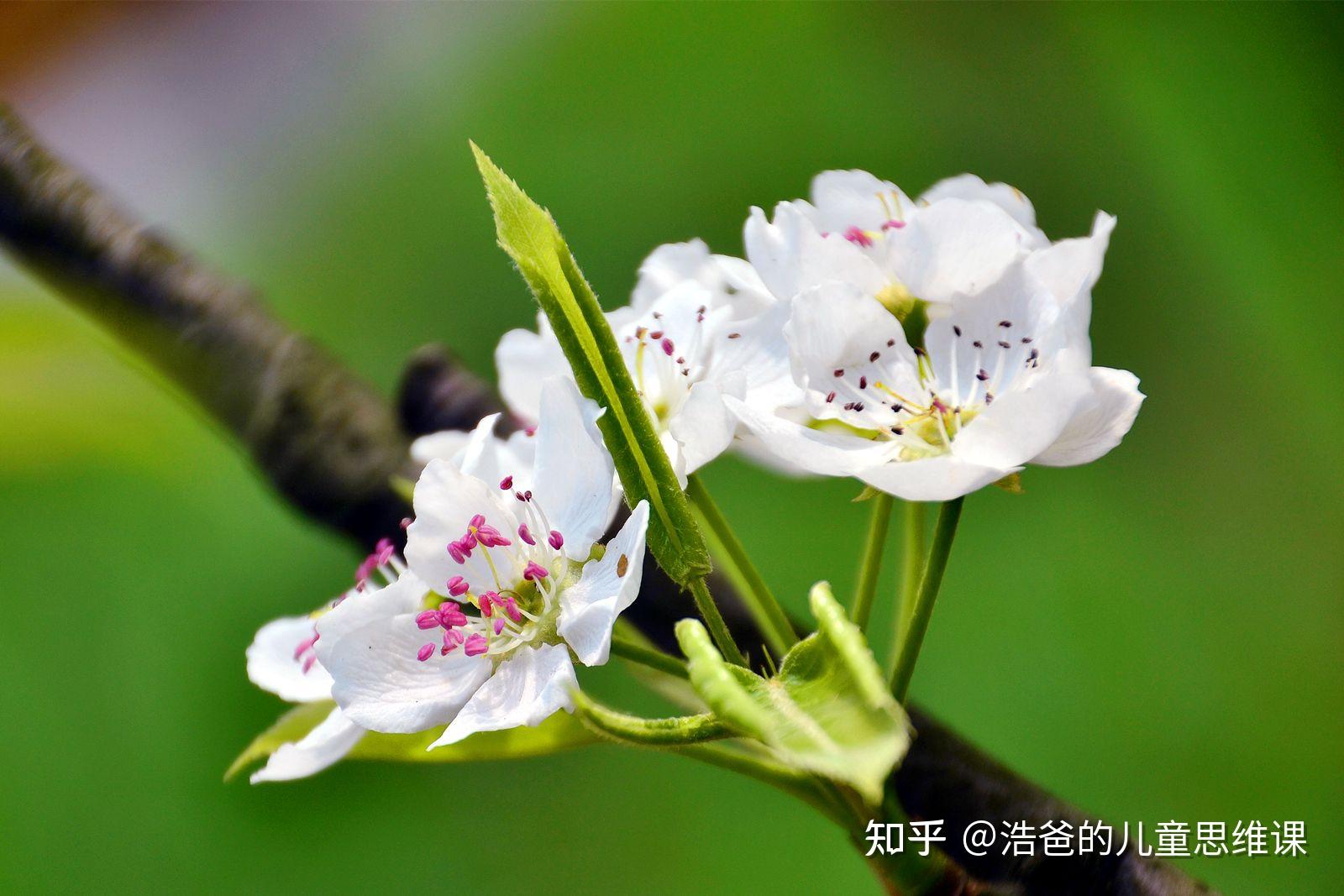 达芬奇画鸡蛋用的草纸,已经堆得很高了.