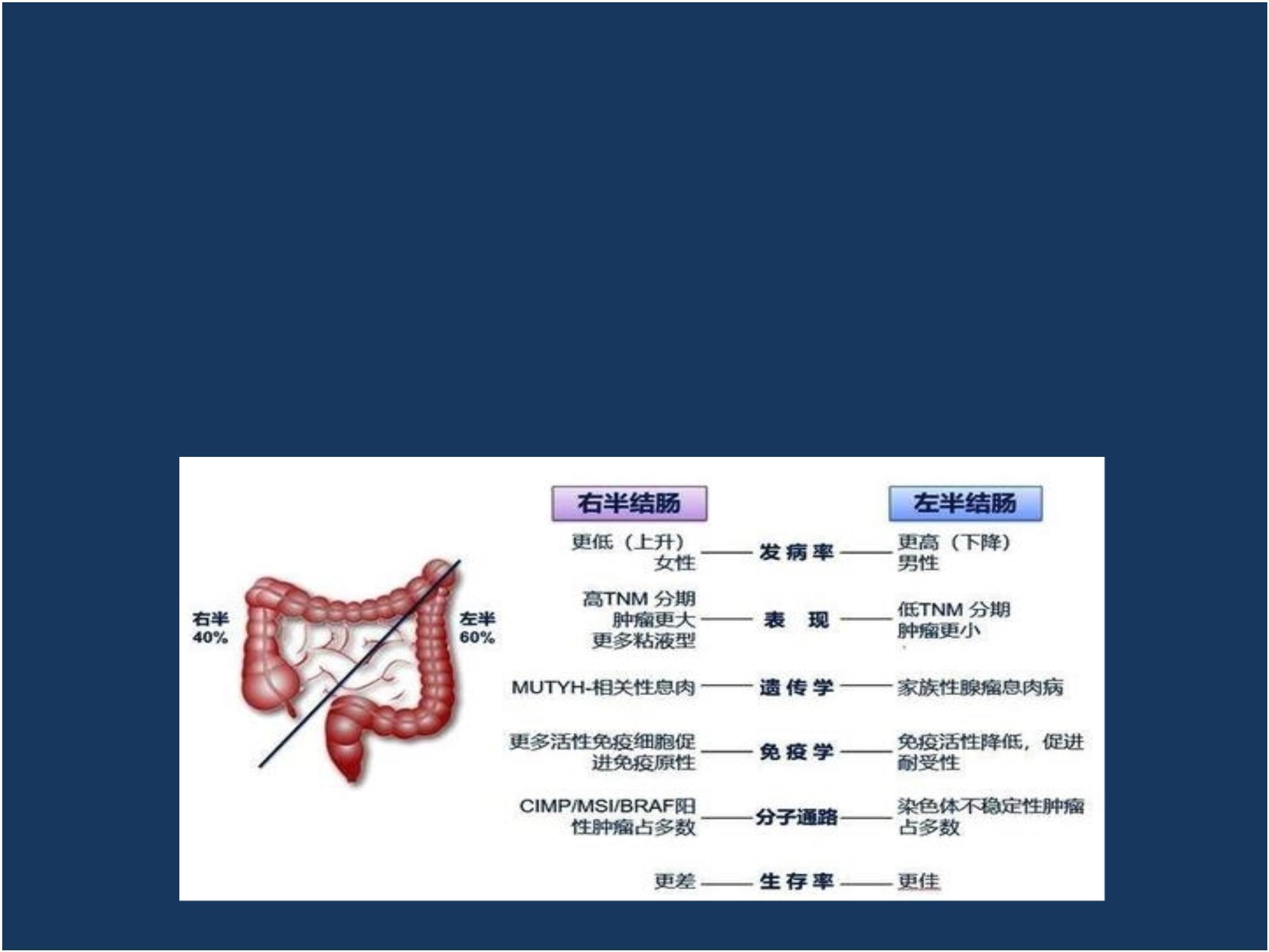 腹腔镜结肠癌根治术检查分析