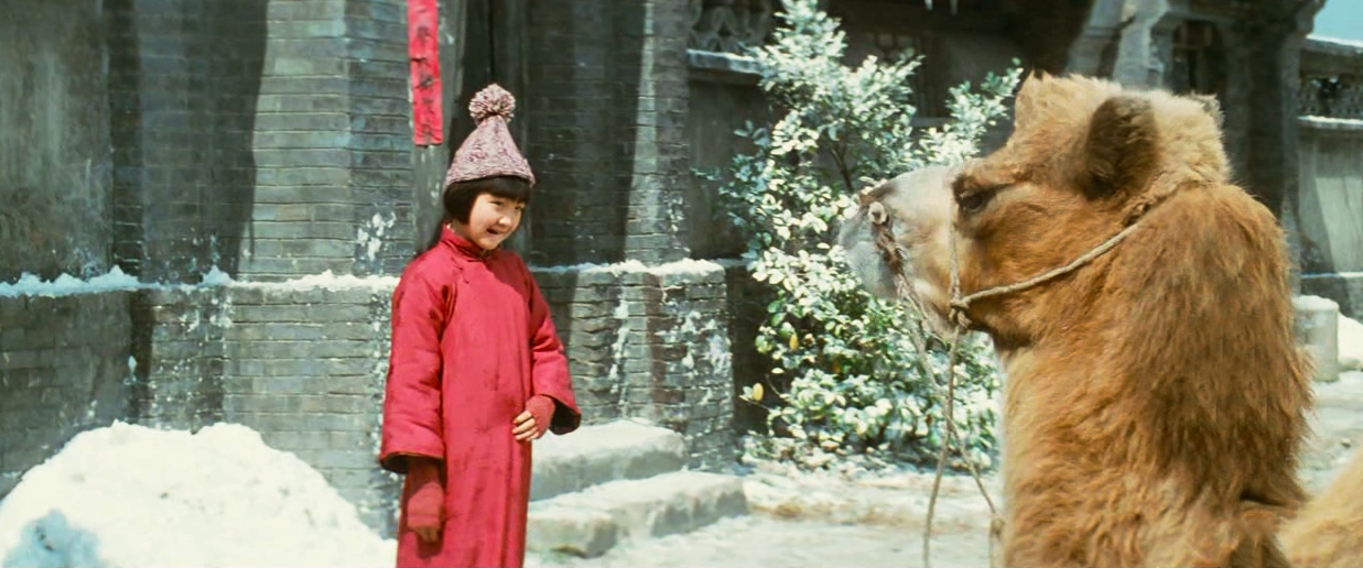 林海音《城南旧事》夏天过去,秋天过去,冬天又来了,骆驼队又来了