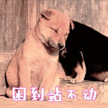 吃完饭就困，原因不只是吃太饱！还可能是4个疾病信号 - 知乎