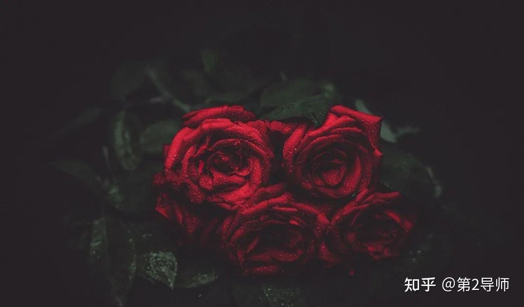 爱情与牺牲交织的韩剧