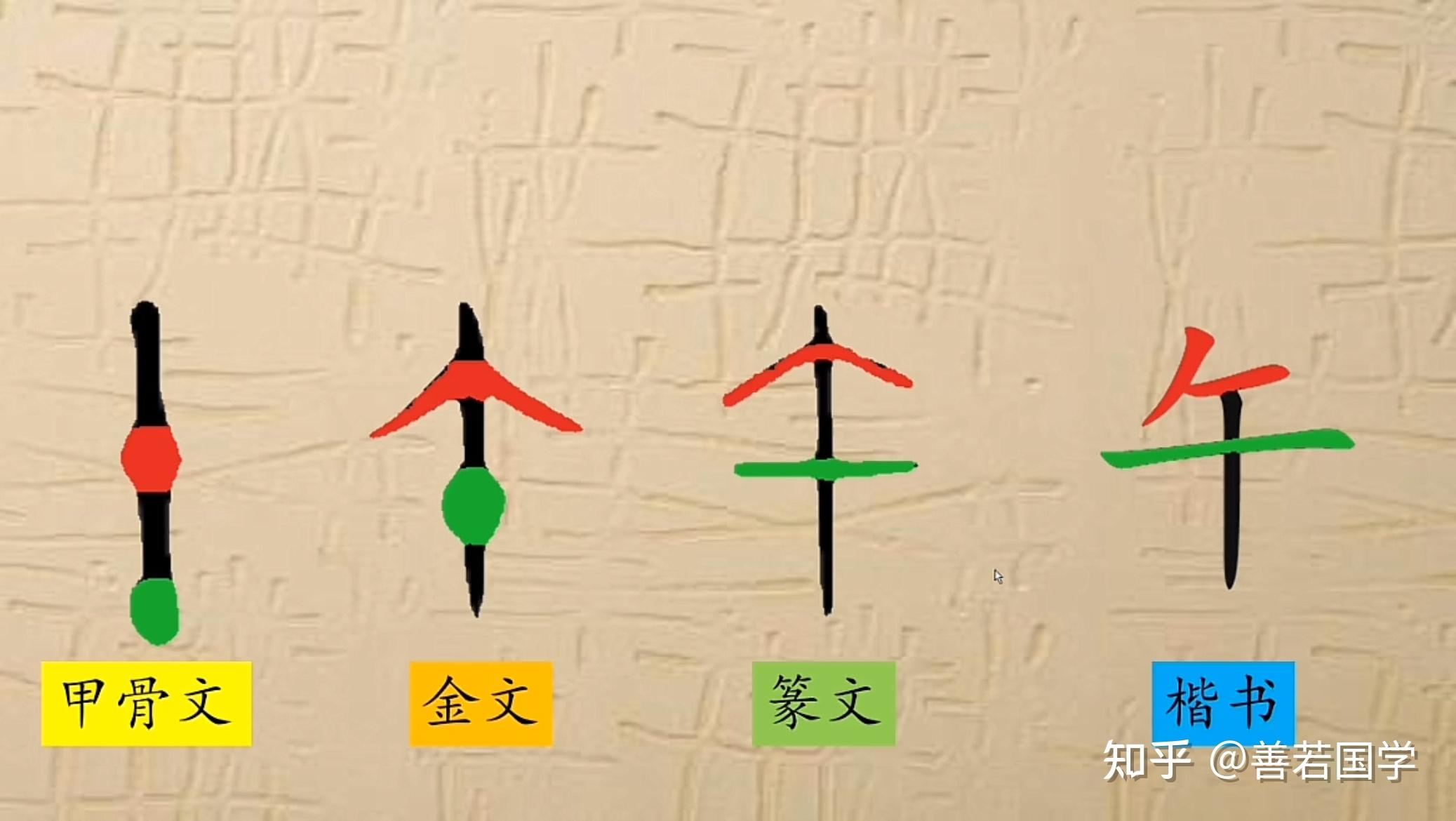 分解十二地支最深刻的解读(午) - 知乎